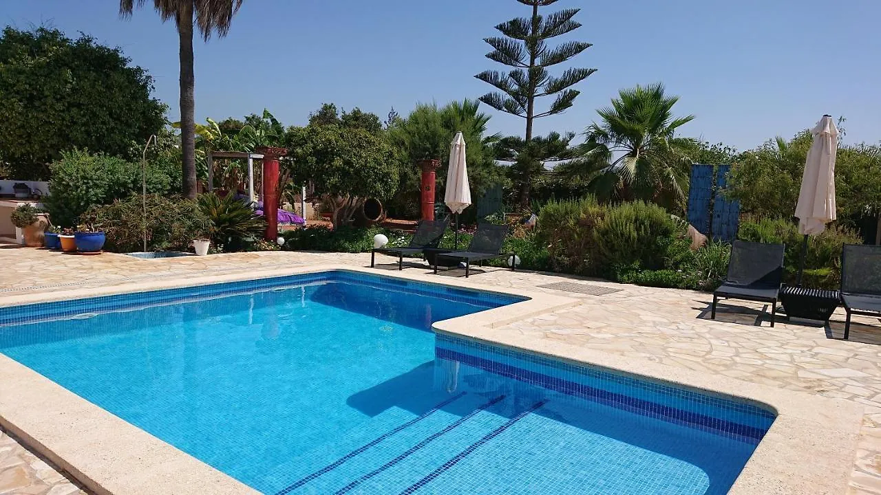 Prázdninový dům Villa En Sa Caleta - Can Blau Ibiza
